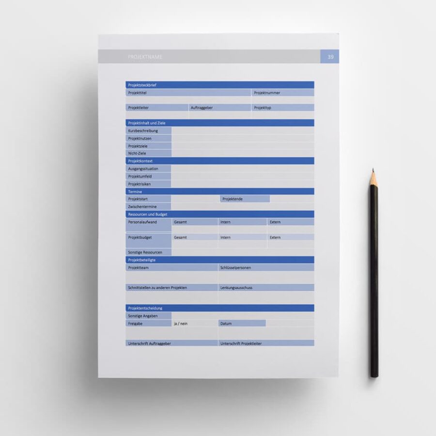 Step-by-Step-Guide Projektplan