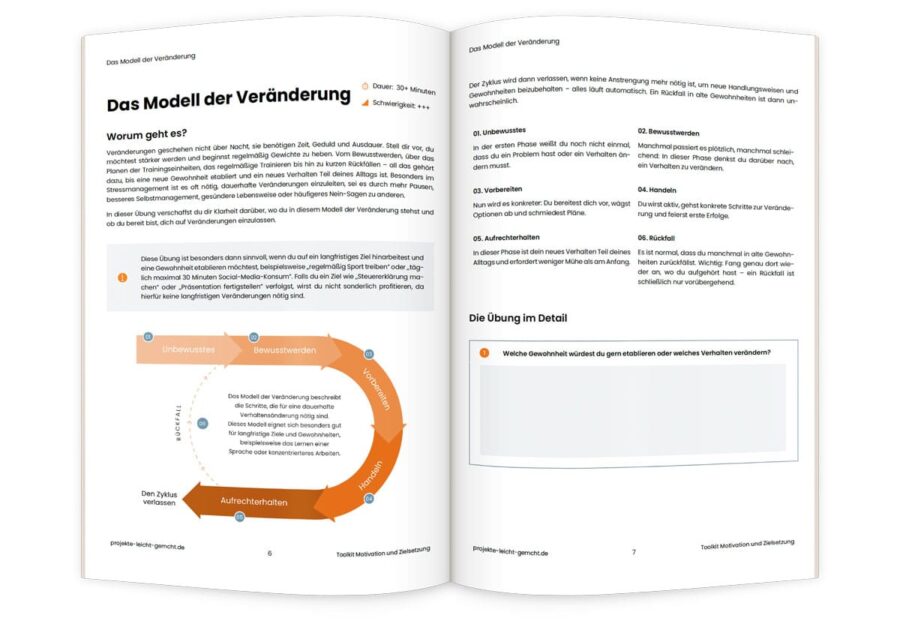 Toolkit Ziele und Motivation